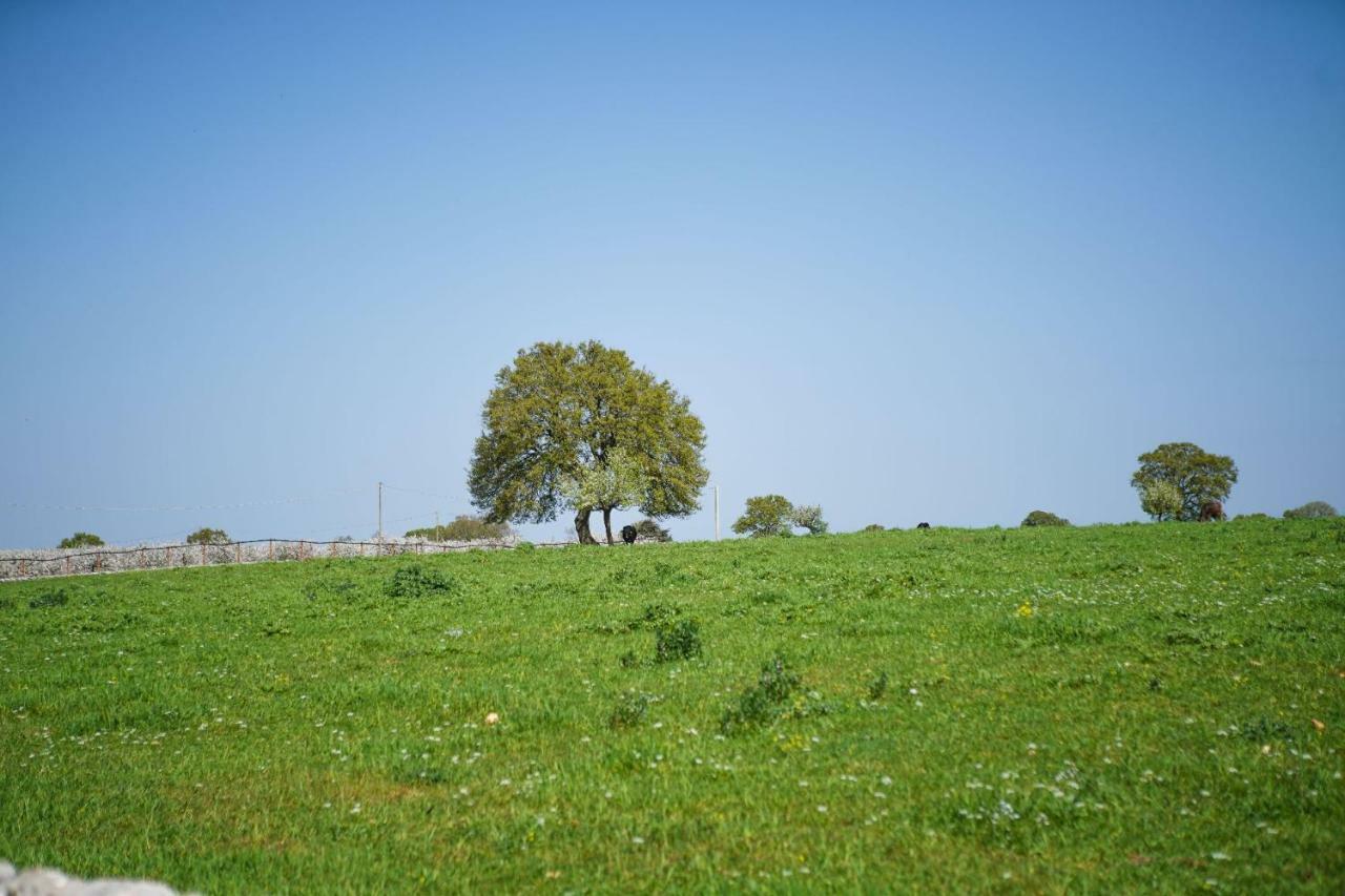 Masseria Guadiano Vecchio Santa Lucia  Exterior foto